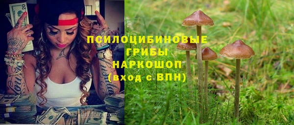 винт Ладушкин