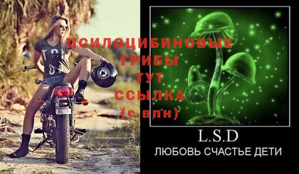 винт Ладушкин