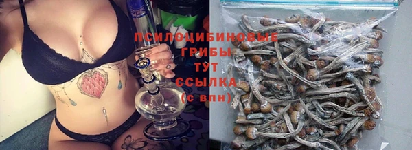 винт Ладушкин