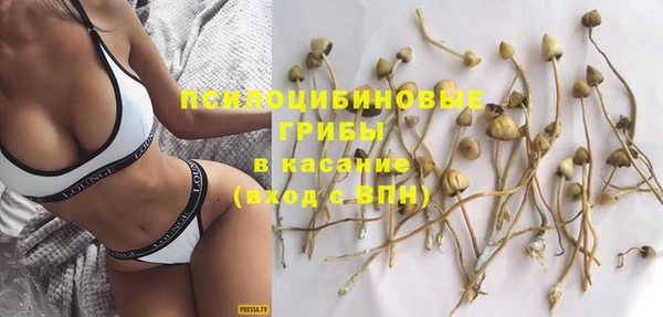 винт Ладушкин