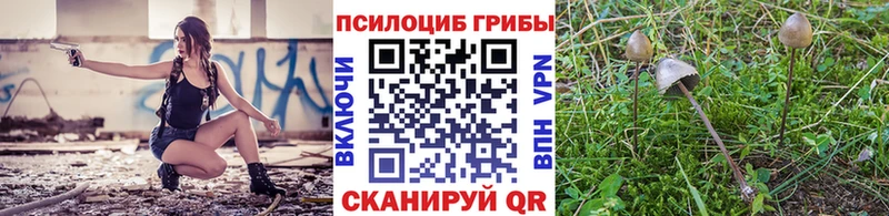 Галлюциногенные грибы Psilocybe  Устюжна 